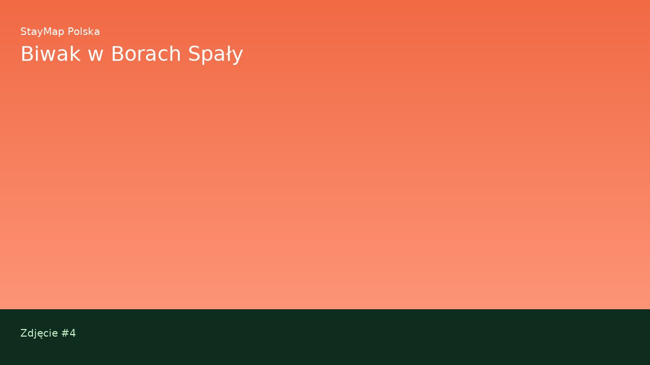 Biwak w Borach Spały — ujęcie 4