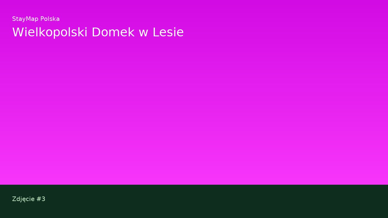 Wielkopolski Domek w Lesie — ujęcie 3