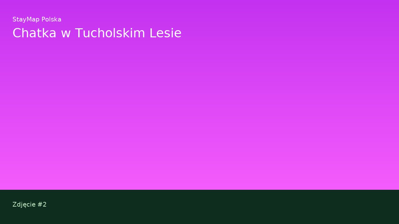 Chatka w Tucholskim Lesie — ujęcie 2