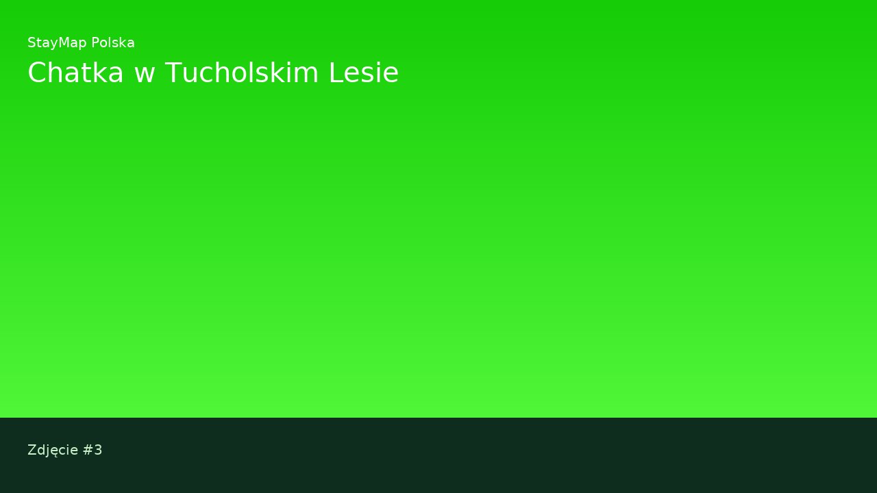 Chatka w Tucholskim Lesie — ujęcie 3